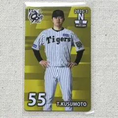 阪神タイガース ︎︎オンサイトカード ︎︎楠本泰史選手