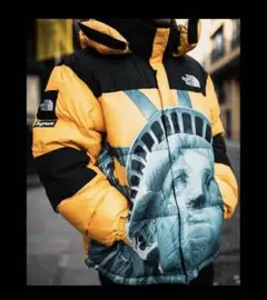 2025年最新】supreme 自由の女神 north faceの人気アイテム - メルカリ