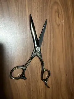 2026年最新】ミズタニシザーの人気アイテム - メルカリ