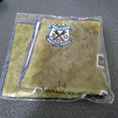 ジュビロ 応援グッズ