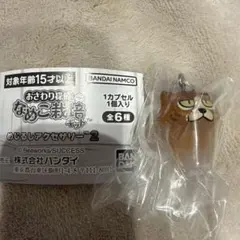 【匿名配送】おさわり探偵 なめこ栽培キット めじるしアクセサリー2 ねこなめこ