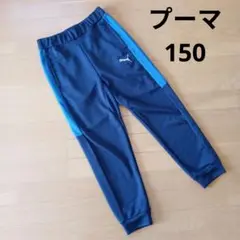 ジャージ　長ズボン　スポーツ　スゥエット