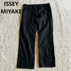 ISSEY MIYAKE イージーパンツ ワイド　ストレート　ブラック　L相当のサムネイル