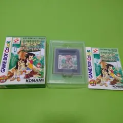 サバイバルキッズ　孤島の冒険者　ゲームボーイカラー