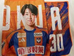 アルビレックス新潟　奥村仁