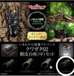 オンライン版いきもの大図鑑アドバンス クワガタ02 パリーフタマタクワガタ