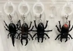 めじるしチャーム クワガタ カブトムシ