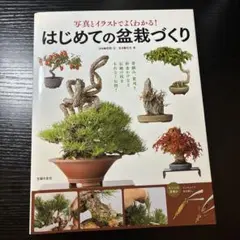 はじめての盆栽づくり 写真とイラストでよくわかる!