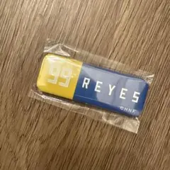 日本ハムファイターズ　レイエス選手　缶バッチ