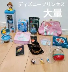 【ジャンク品】ディズニープリンセス　フィギュア　グッズ　大量　まとめ売り