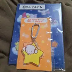 サンリオキャラクター大賞 フォトアルバム＆こぎゅみんアクリルチャーム