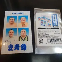 大相撲 証明写真風 安青錦関