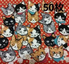 ★布シール★猫顔　猫フェイス　どの猫が好き？★50枚★ハンドメイド★