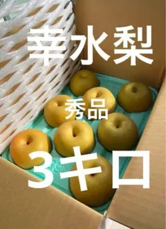 ゆんたん様専用　幸水梨
