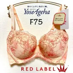 ＊Sale F75レッドレーベル バイ トリンプ0097 寄せアゲハ ブラ単品のサムネイル