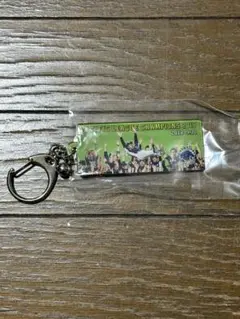 埼玉西武ライオンズ アクリルキーホルダー 優勝記念