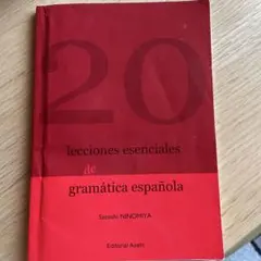 20 lecciones esenciales de gramática