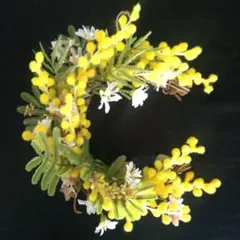 Item thumbnail for item bae1e15f-be7e-4249-b79a-e73f173a205d