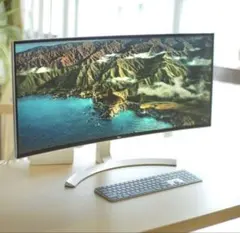 LG 40WP95C 39.7型 5K2K 曲面ウルトラワイド アーム付 - メルカリ