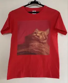 Spitz　ジャケットTシャツ スピッツ結成30周年記念 アナログ盤16作品発表記念 ジャケT祭り