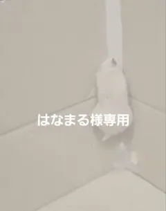 はなまる様専用　２品おまとめ