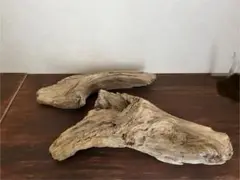 値下‼️【インテリア・ディスプレイ用】流木　2本セット