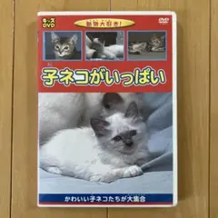 Item thumbnail for item a76186d4-e86a-4a9e-a508-64d9ecc2be1a