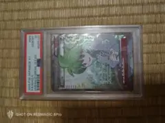 2025年最新】ミツル sr psa10の人気アイテム - メルカリ