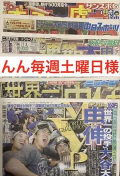 んん毎週土曜日大幅処分様　専用出品