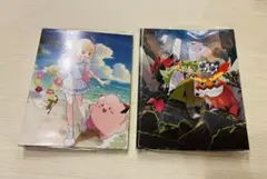 ポケモンカード　リーリエ　N ファイル　セット