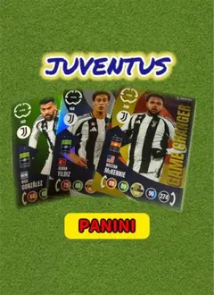 パニーニ ADRENALYN XL ユヴェントス マッケニー ユルディズ　W杯