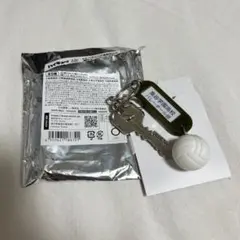 梟谷高校 鍵チャームキーホルダー