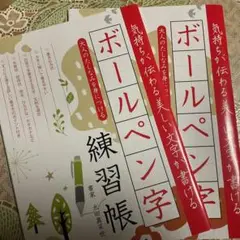 お得です　ボールペン字練習帳　2冊　美文字