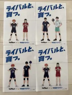 ハイキュー！！×早稲田アカデミー　コラボ　クリアファイル　４枚