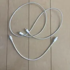 LightningとUSB-Cコネクタ