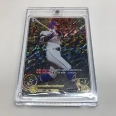 2025年最新】ドリームオーダー 中日 sspの人気アイテム - メルカリ