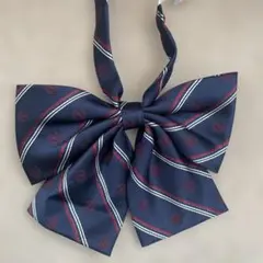 【新品】arCONOMi 制服　リボン