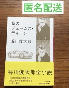 私のジェームス・ディーン