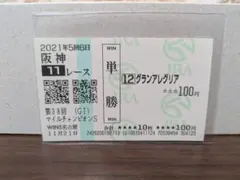 グランアレグリア 第38回 マイルチャンピオンシップ 2021年 【期限切れ】