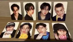 Straykids KARMA SKZOO VER 封入トレカ 8枚セット