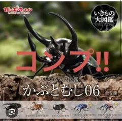 ガシャポンオンライン いきもの大図鑑 かぶとむし06 全5種 ガチャ