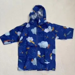 Item thumbnail for item 0c37d472-0da2-4516-bf6c-7740824de4f3