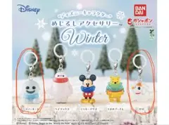【新品未開封】 ディズニーめじるしアクセサリー winter スノーギース ゼロ