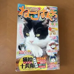 ねこぱんち 12周年号 猫雑誌