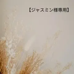 ジャスミン様専用です❁