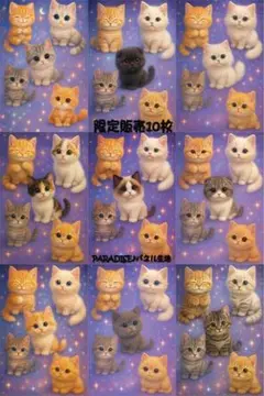 PARADISEパネル生地　限定販売10枚　猫柄　P149