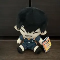 影山くんぬいぐるみ ハイキュー