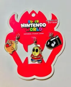 USJ スーパーニンテンドーワールド キラー　テレサ　ヘイホー　チャームセット