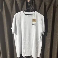 Patagonia tシャツ　ハワイ　30周年