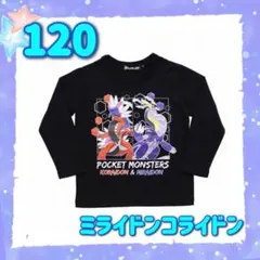 Pico様 リクエスト 2点 まとめ商品